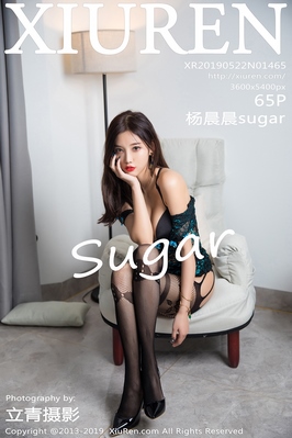 [XiuRen秀人网] 2019.05.22 NO.1465 杨晨晨sugar 网袜 镂空